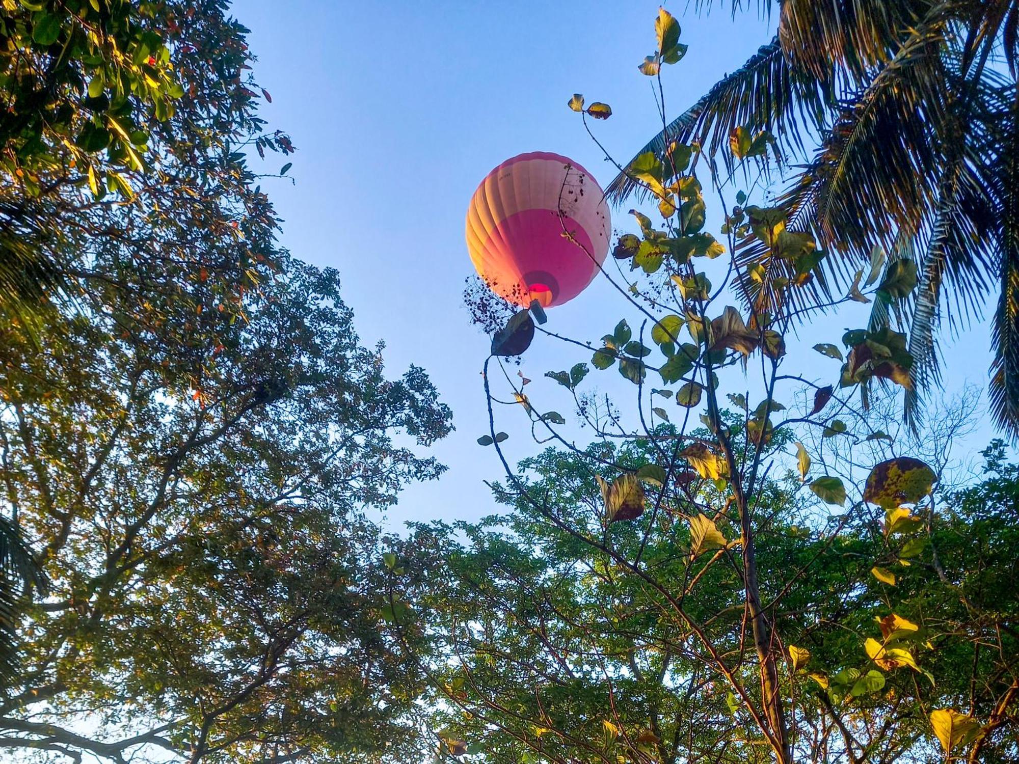 Nature Lotus Villa Дамбулла Екстер'єр фото